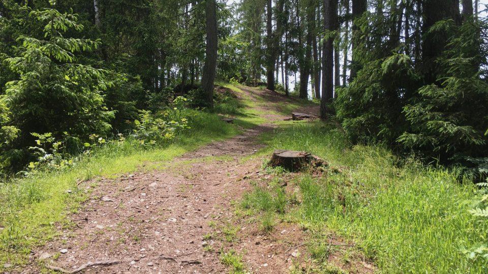 Cesta ke zbytkům hradu Hausberg vede lesem