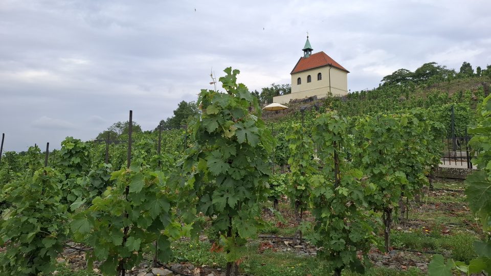 Opravený Viniční domek v Botanické zahradě v Troji