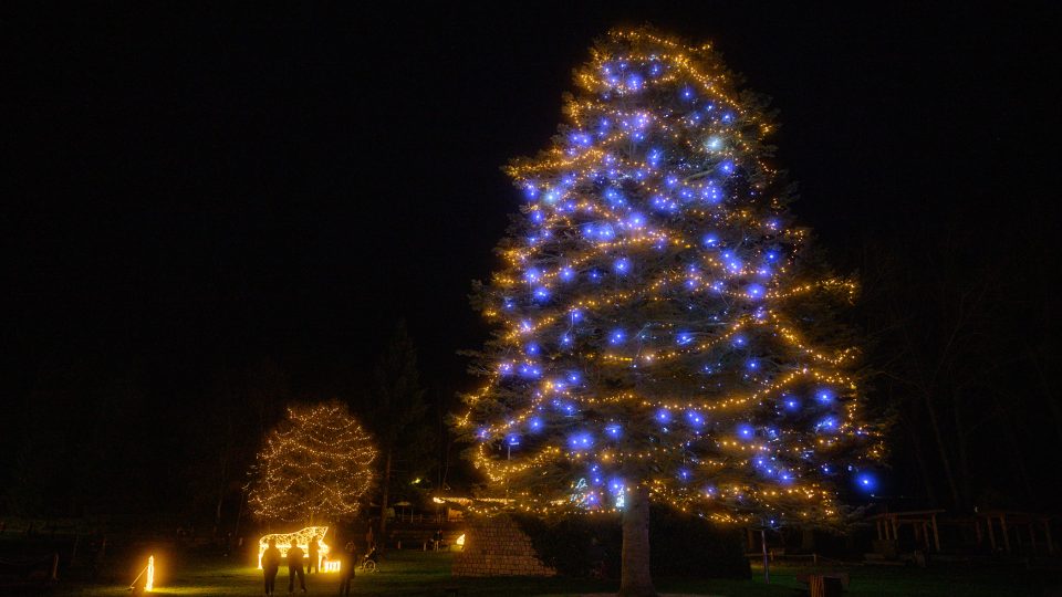 Magický světelný park v areálu Nového rybníku v Příbrami