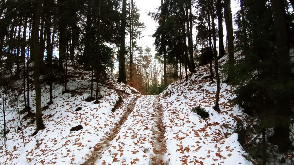 K rozhledně vede pohodlná žlutě značená trasa od soběslavského nádraží