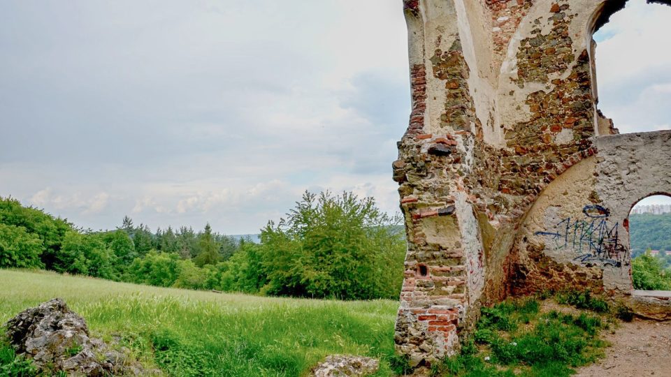 Baba je přírodní památkou a jedním z druhově nejbohatších stanovišť hmyzu v Praze