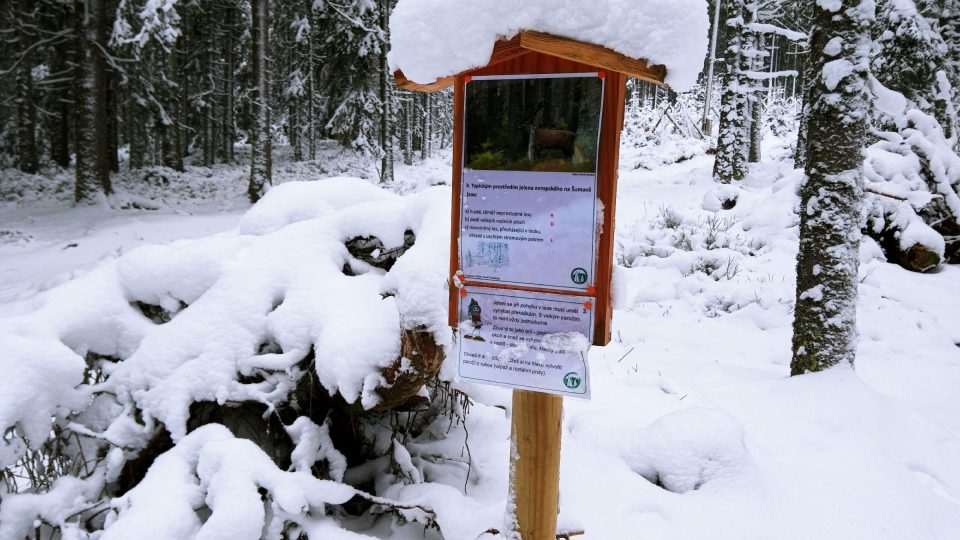 Jelení naučná stezka v Kvildě