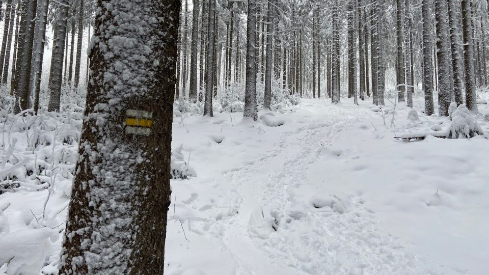 K rozhledně vás dovede žlutá turistická značka