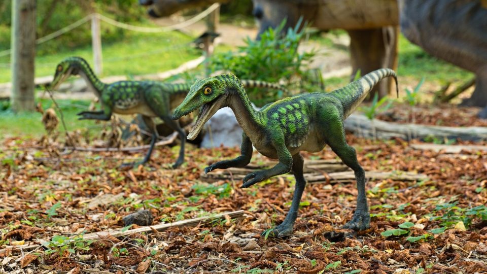 Dinosauří mláďata nejsou moc velká, i tak ale budí respekt