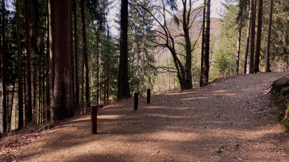 Do údolí vede široká lesní cesta