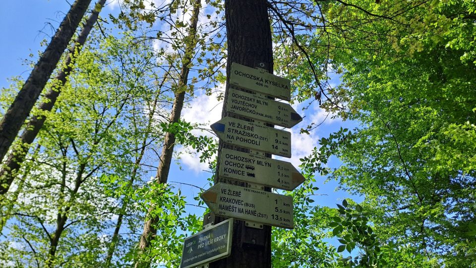 K ochozské kyselce je možné dojít z různých směrů