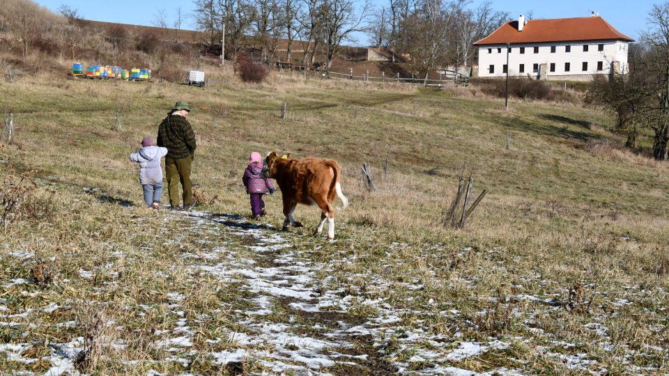 Na tvrzi Libušín žijí Královi v souladu s přírodou