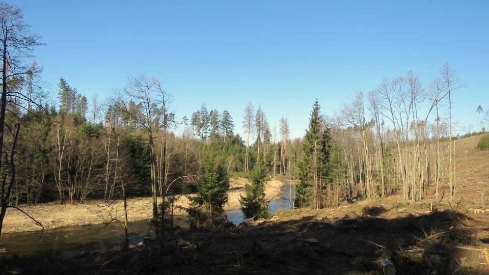 Meandry řeky Chrudimky