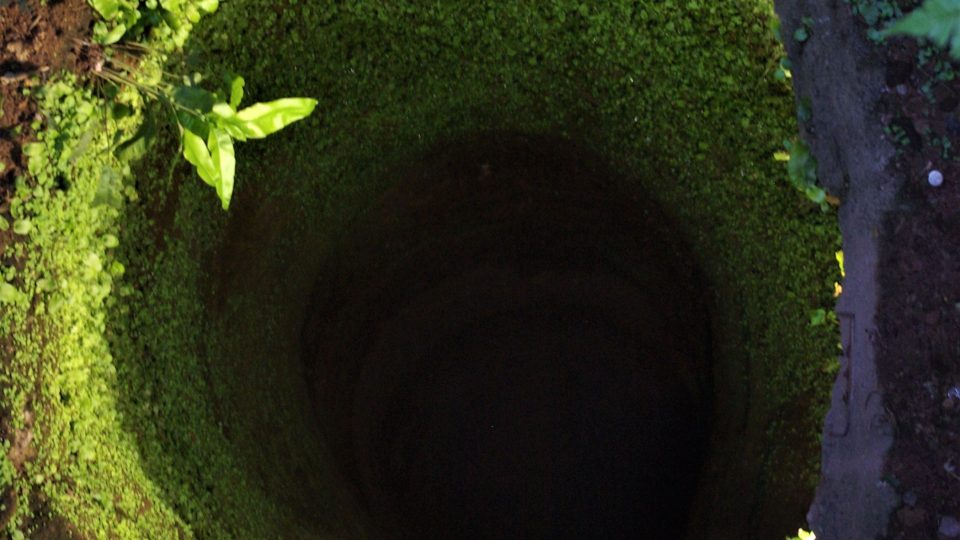 O hradní studni se traduje, že v ní nikdy nebyla voda. Zdobí ji vzácné kapradiny  Foto Vlaďka Wildová.JPG