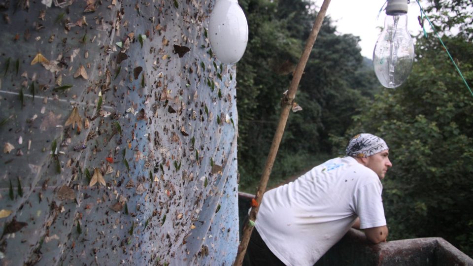 A potom už se jenom čeká, co se na plátně zachytí