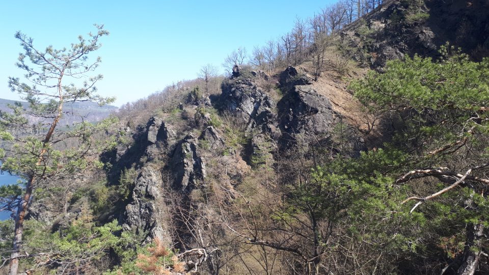 Skály jsou rozeklané a díky tomu tu roste bohatá a různorodá flora