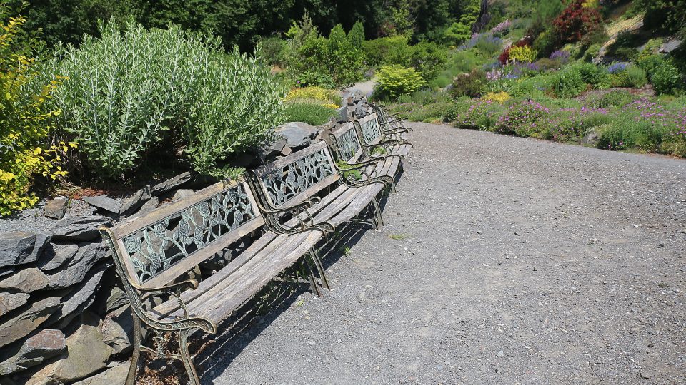 Areál arboreta doplňují i lavičky