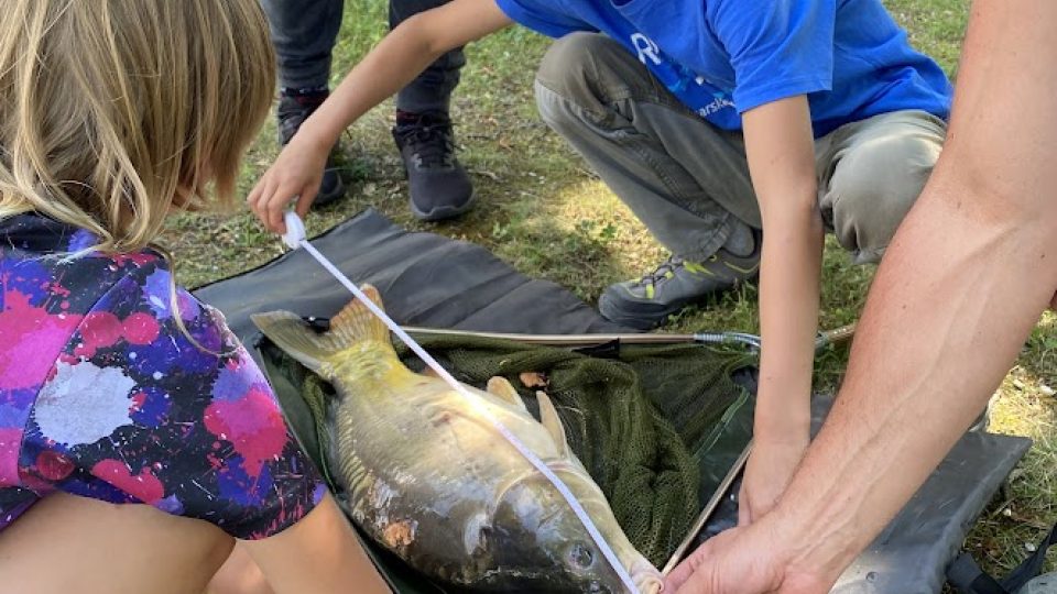 Rybářství má v České republice dlouhou tradici. Na letním táboře si rybářský svaz vychovává nové nástupce