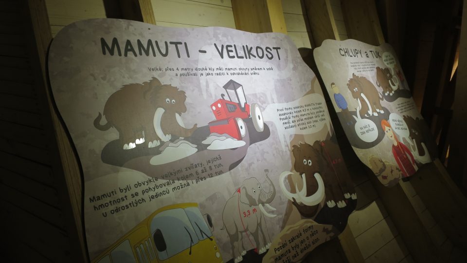 Na obrázcích si děti mohou porovnat reálnou velikost mamuta
