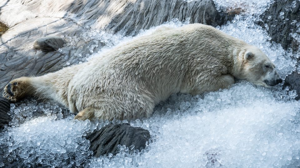 Je potřeba se zchladit z obou stran