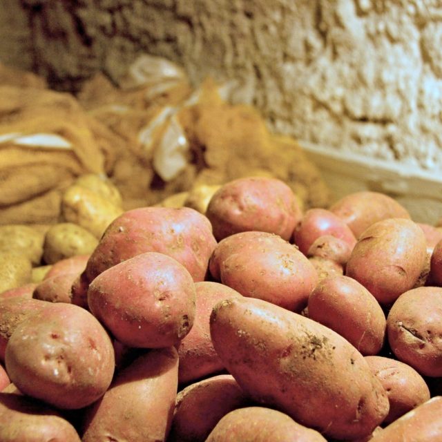 Nejlepším místem pro skladování brambor je sklep,  kde je vlhko a nízká teplota | foto: Jaroslav Hoření,  Český rozhlas