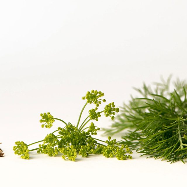 Kopr má velké využití v kuchyni | foto: Fotobanka Pixabay