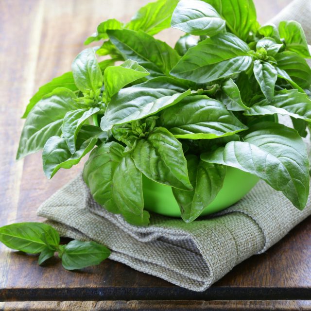 Bazalka | foto: Fotobanka Profimedia