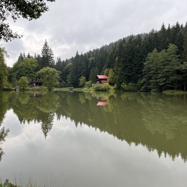 Jezero ve Velkých Karlovicích | foto: Zdeněk Urbanovský,  Český rozhlas