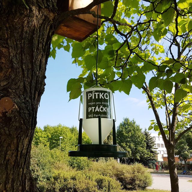 Pítko pro ptáky na pardubickém sídlišti Dubina | foto: Vítězslav Štěpánek