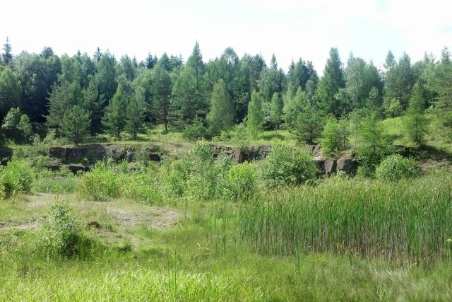 Lom Rasová nedaleko Komni | foto: Tomáš Fránek,  Český rozhlas