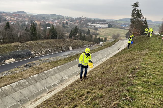 Výsev divokých luk podél nově vznikající dálnice D4 | foto: ViA SALiS