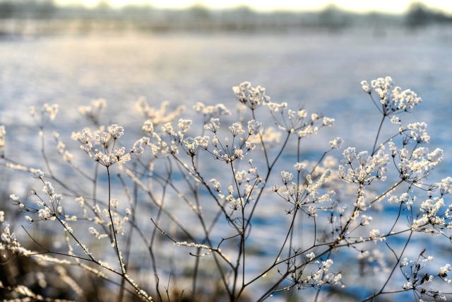 Zima,  zimní nálada  (ilustrační foto) | foto: Shutterstock